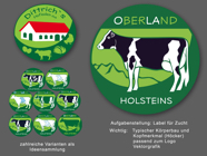 holstein_label.jpg